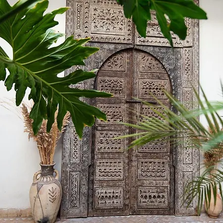 Riad Farhan-3